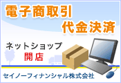 �Z�C�m�[�t�B�i���V����