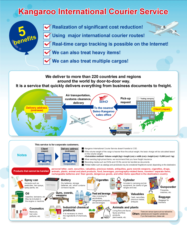 International courier services are available for corporate customers. We cannot ship these items like sprays, batteries, and cosmetics.