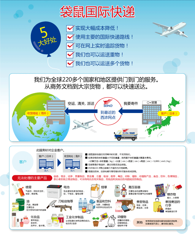 袋鼠国际快递件