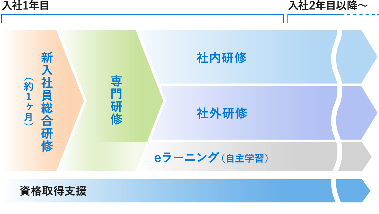 入社1年目：新入社員総合研修（約1か月間） → 部門別研修 → 社内研修・社外研修・e講義動画（自主学習）、入社2年目以降も継続、資格取得支援