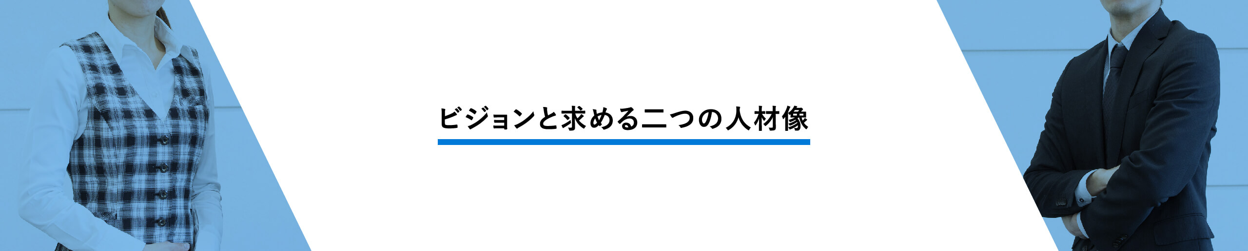 ビジョンと求める二つの人材像